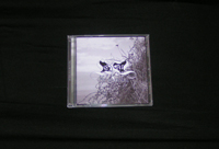 Cd immortel